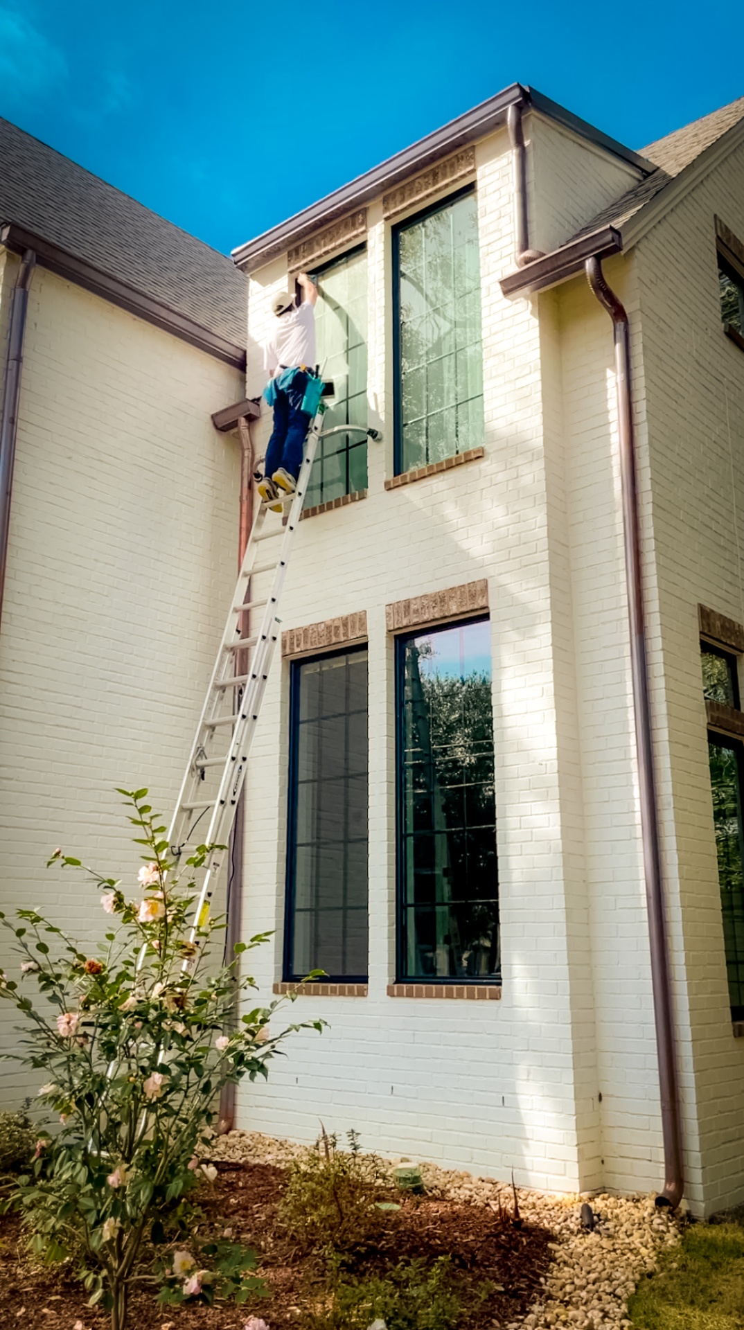 Exterior Window Cleaning